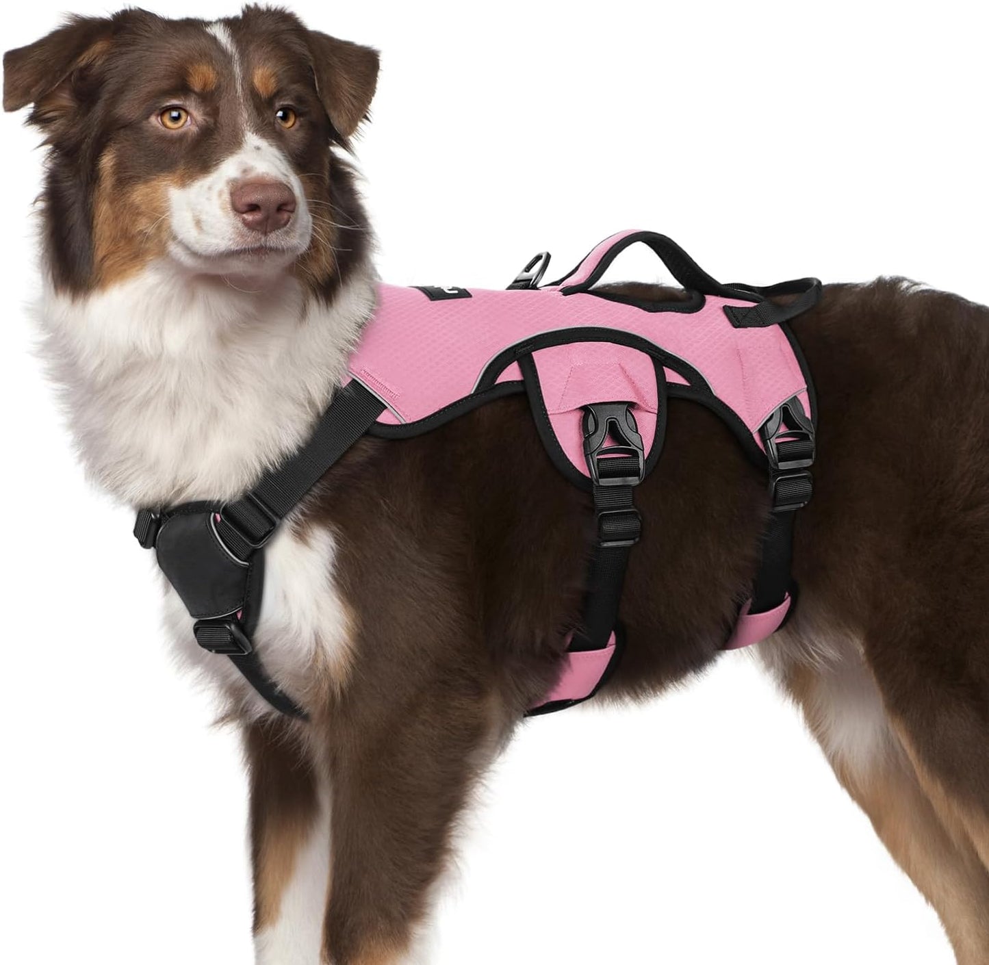 Escape Proof Dog Harness for Medium Dogs by rabbitgoo - Soft Padded