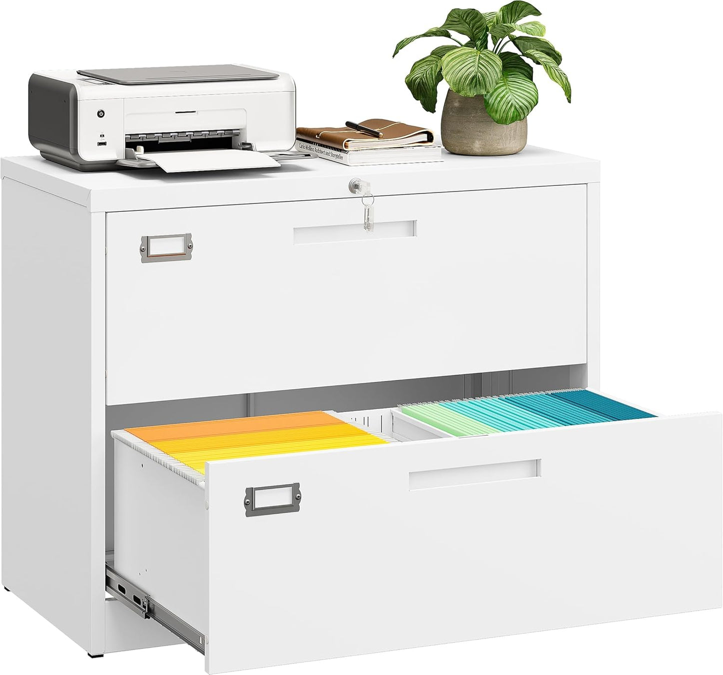 SISESOL 2 Drawer Lateral File Cabinet for Office and Home Use