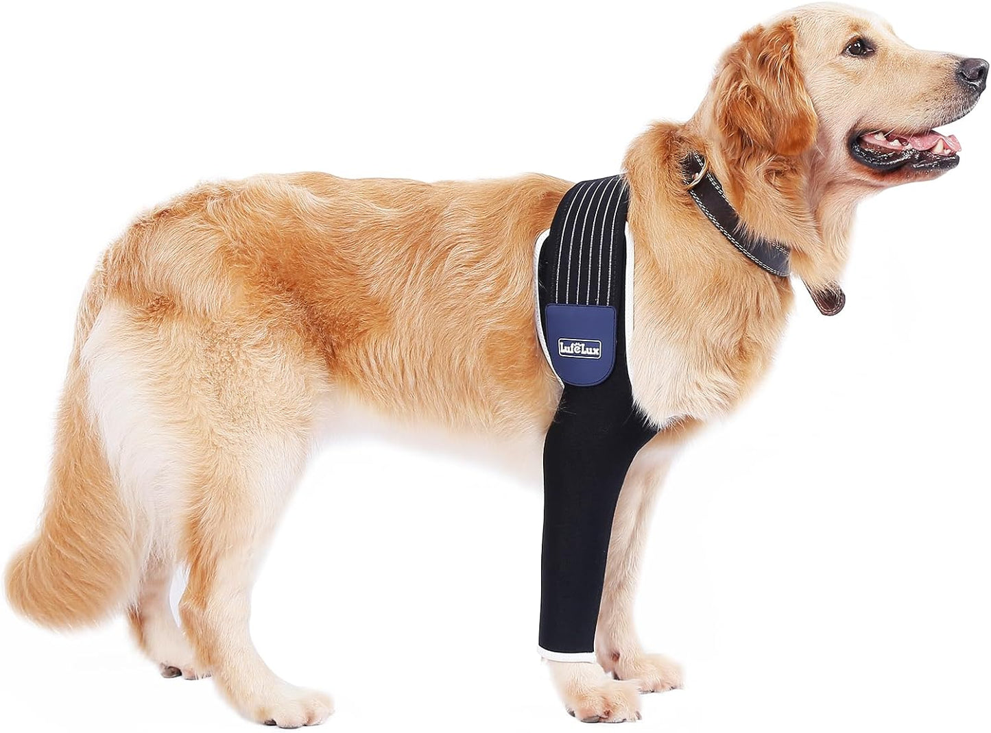 Dog Front Leg Sleeve for Recovery, Comfortable and Adjustable