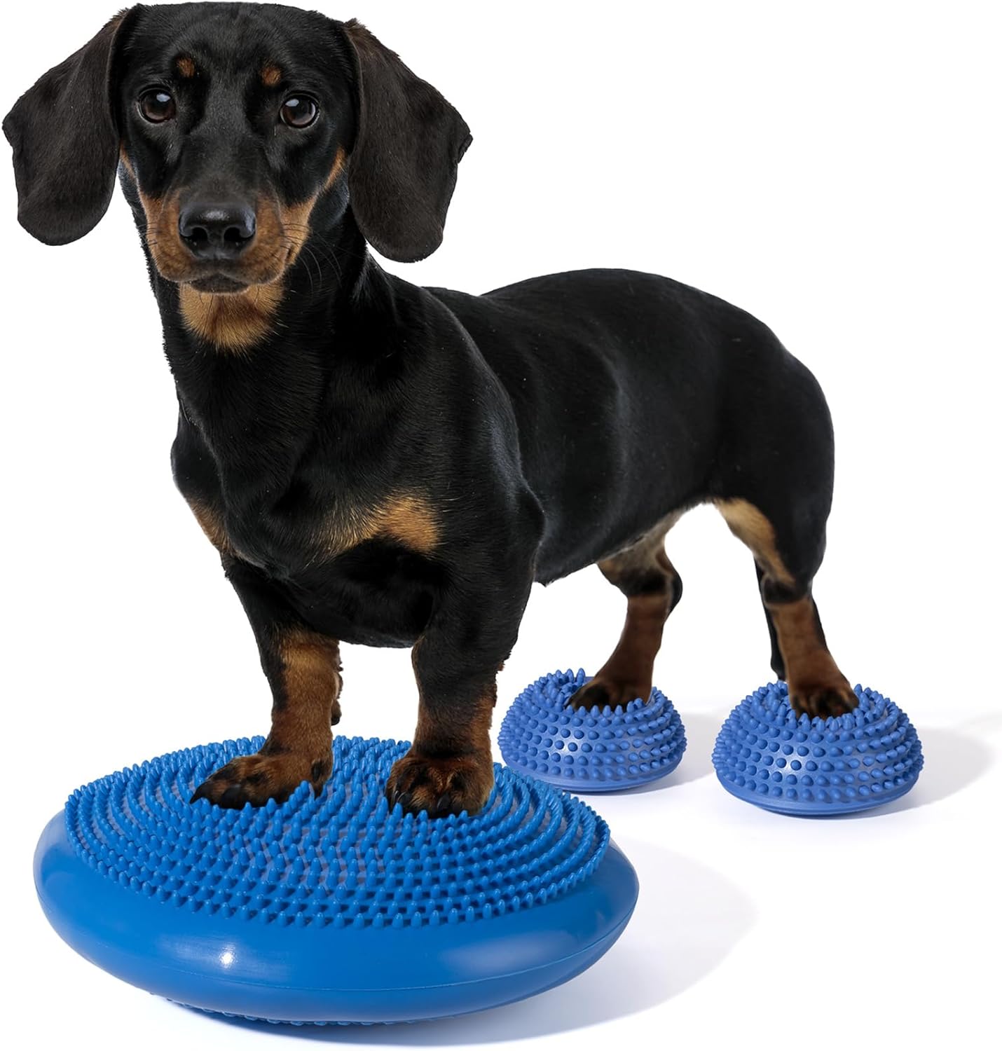 Fit-Paws Dog Balance Disc Set | Strength & Therapy Tool