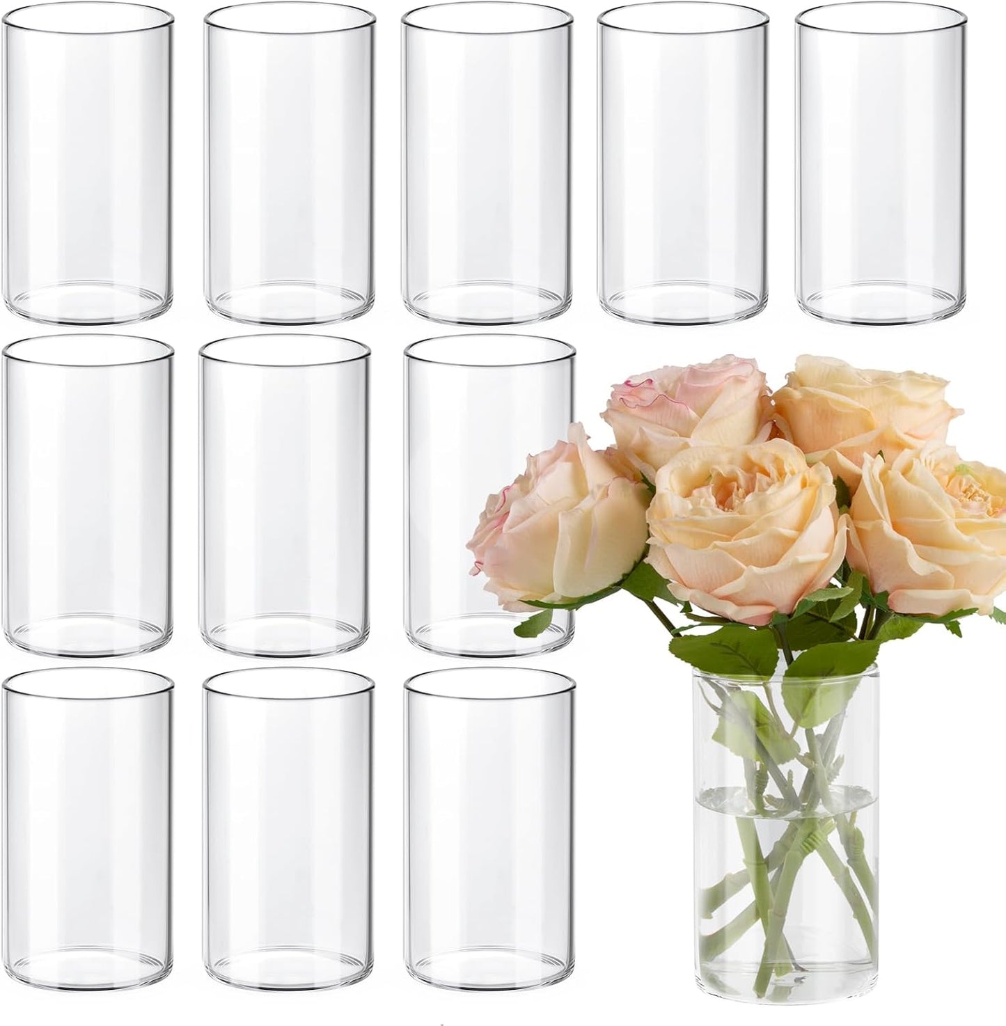 12pcs 6 Inch Clear Glass Cylinder Vases for Elegant Centerpieces