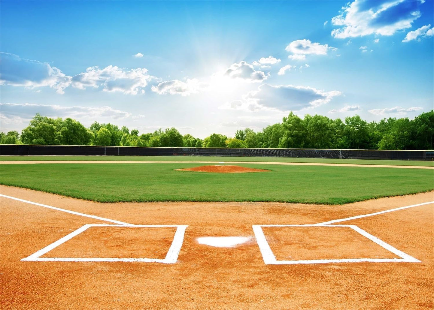 10x8ft Baseball Backdrop for Sports Birthday Party Decor