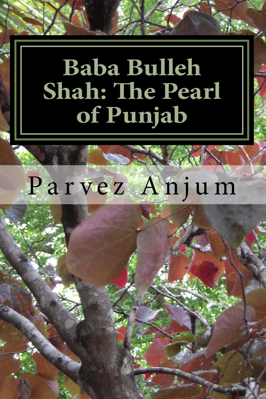 Baba Bulleh Shah: The Pearl of Punjab - Selective Kafis Translated
