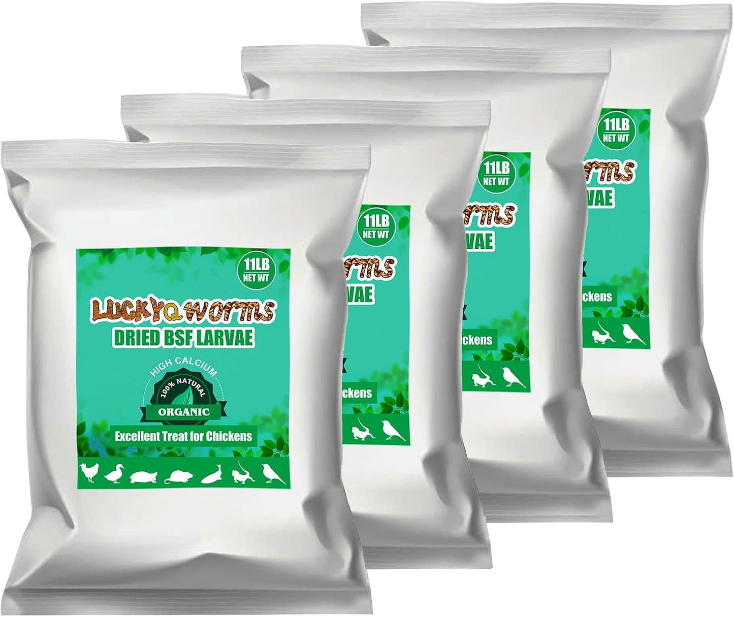 Dried Black Soldier Fly Larvae for Chickens - High-Protein Treats