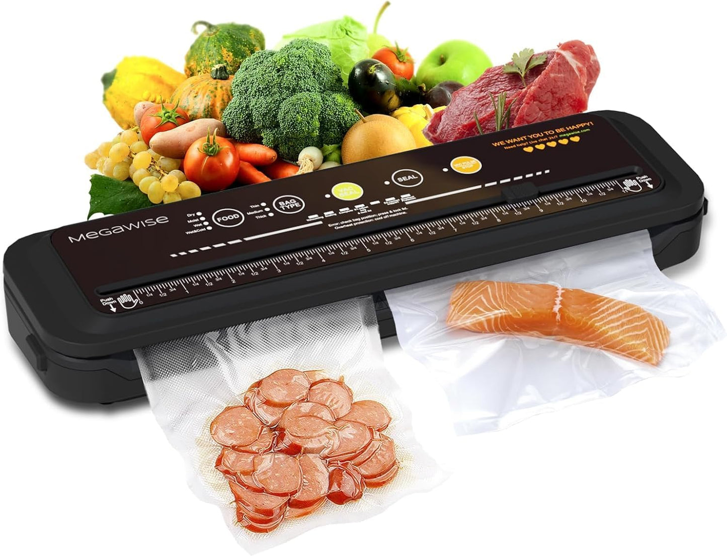 2023 MEGAWISE Vacuum Sealer: Dry & Moist Modes, Starter Kit
