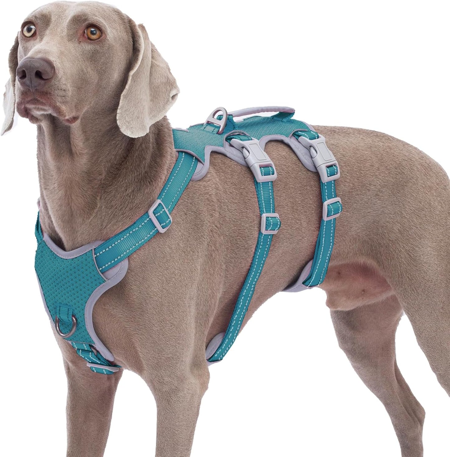 Escape Proof Dog Harness with Reflective Handle for Safety