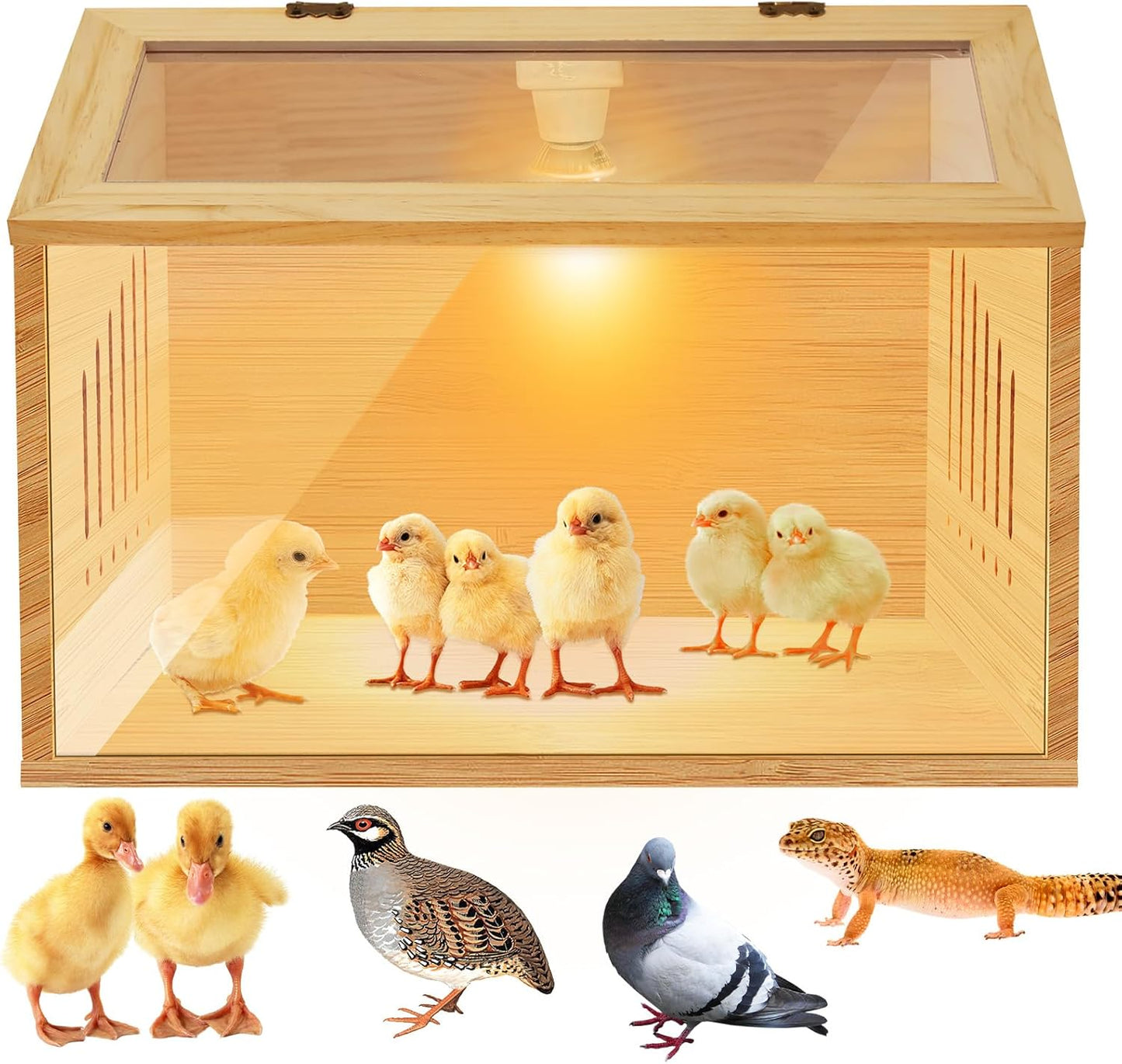 Indoor Smart Wooden Poultry Brooder Box for Chicks and Ducks