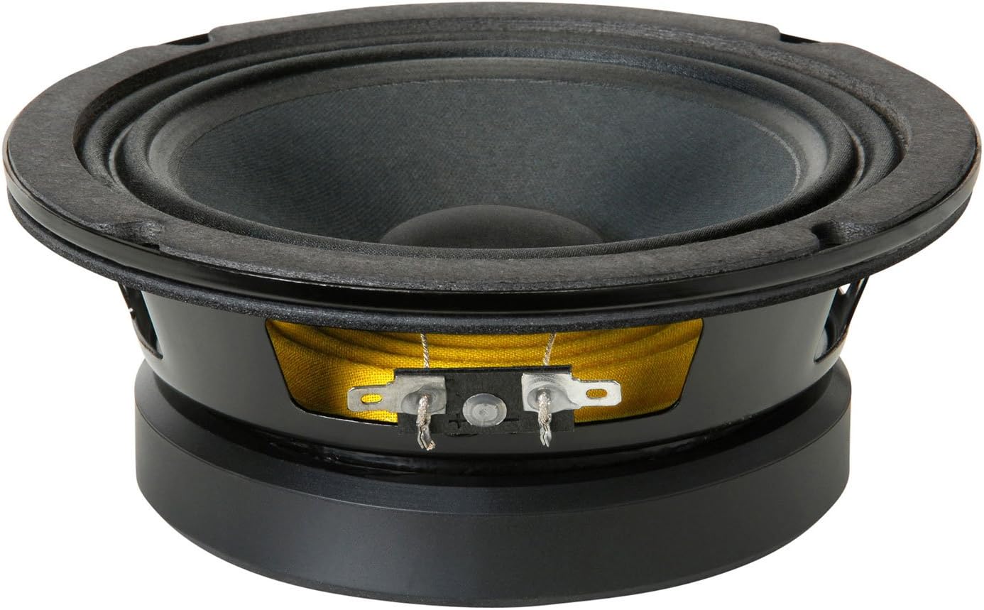 Eminence American Standard Alpha-6A 6in Pro Audio Speaker Review