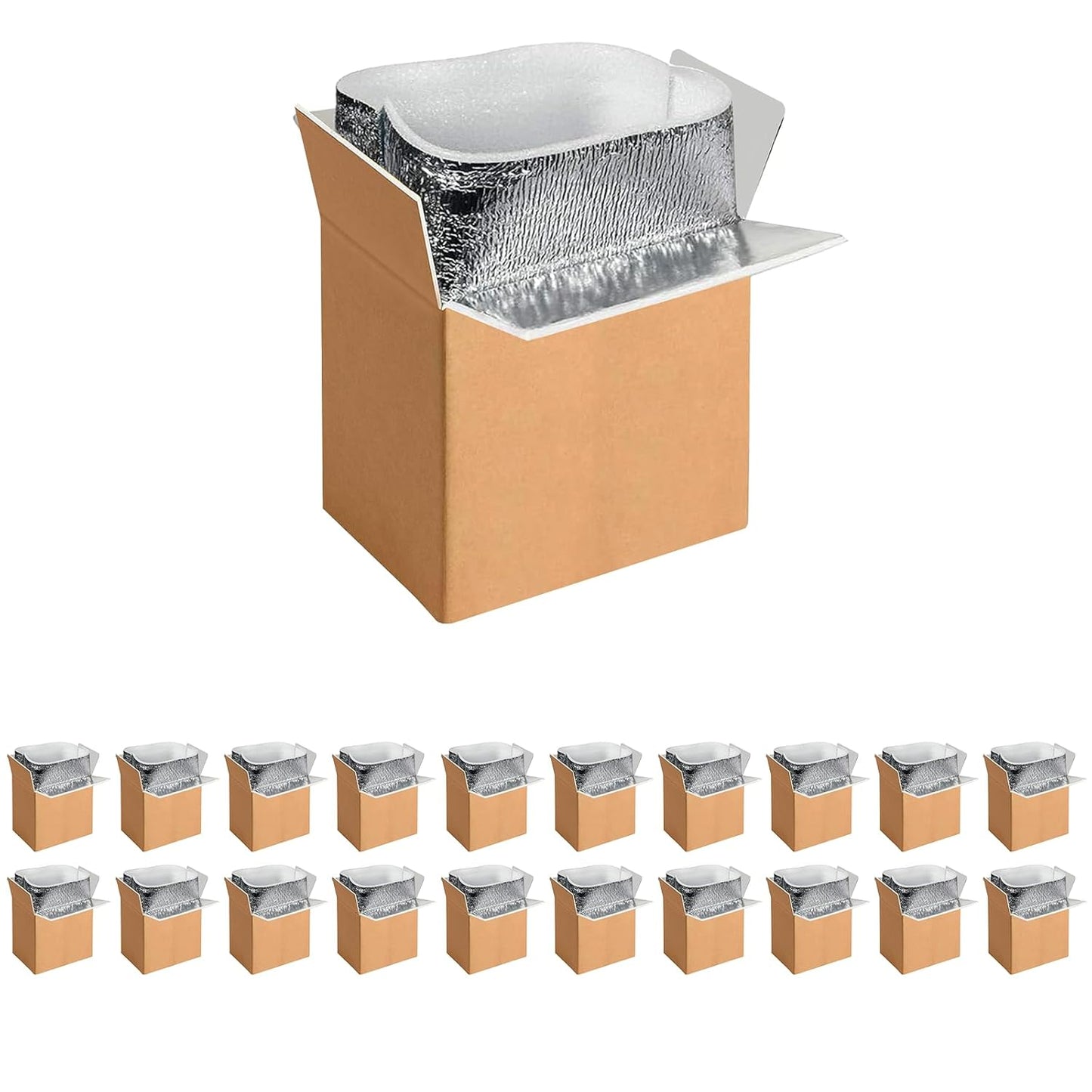 20 Pack Insulated Shipping Boxes for Cold Pack Shipping Needs