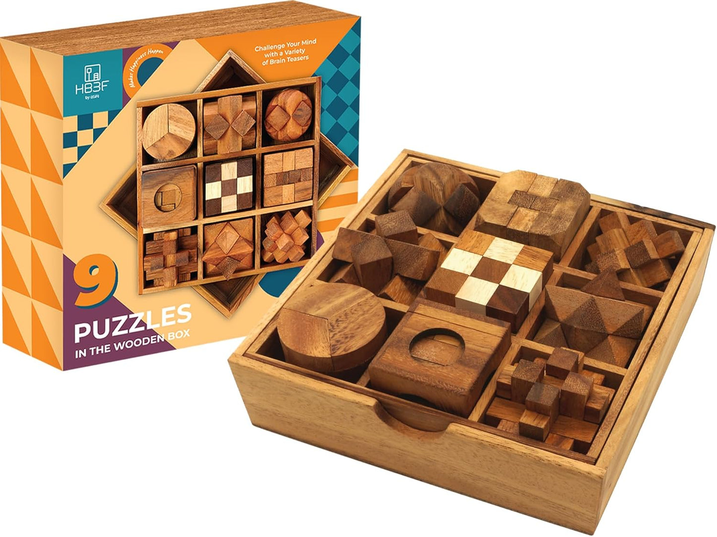 9 in 1 Wooden Brain Teaser Puzzles for All Ages Fun Set