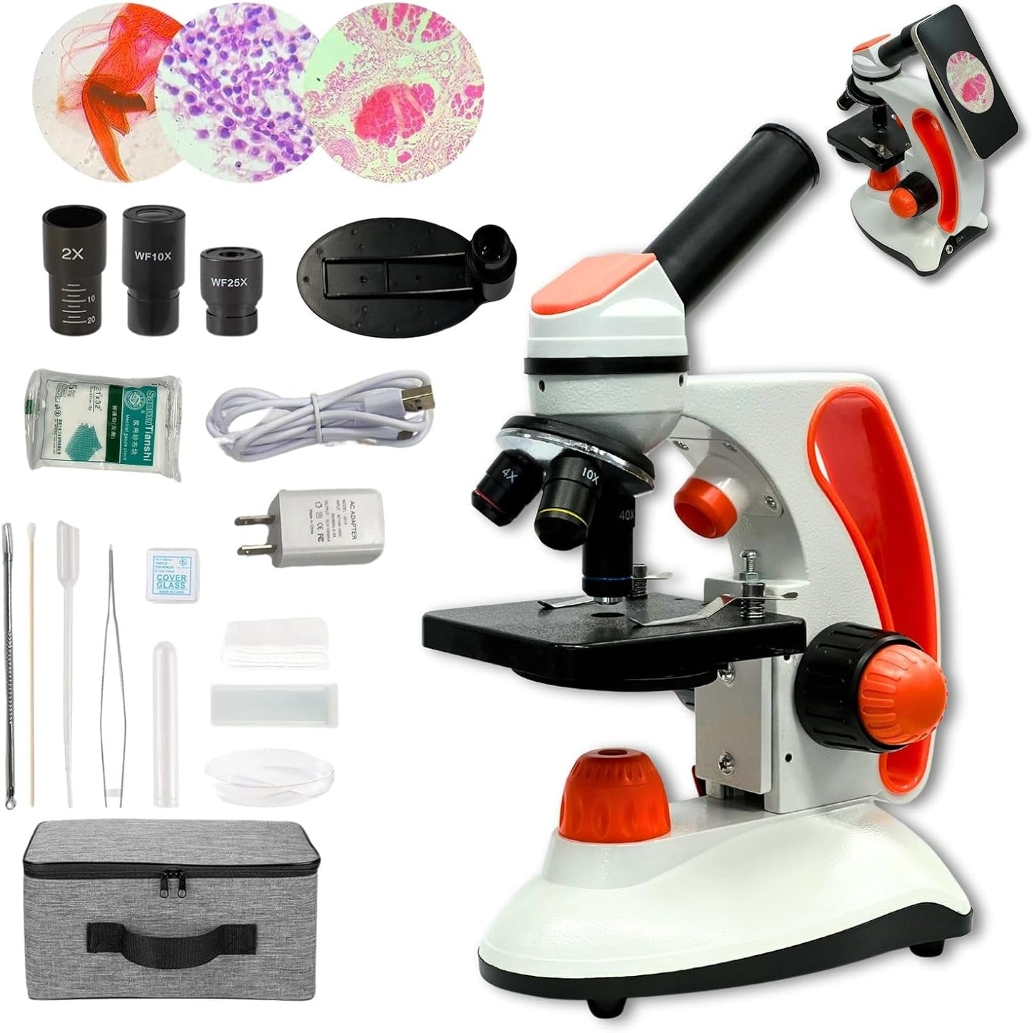 Metal Body Compound Microscope for Students with Dual LED Light