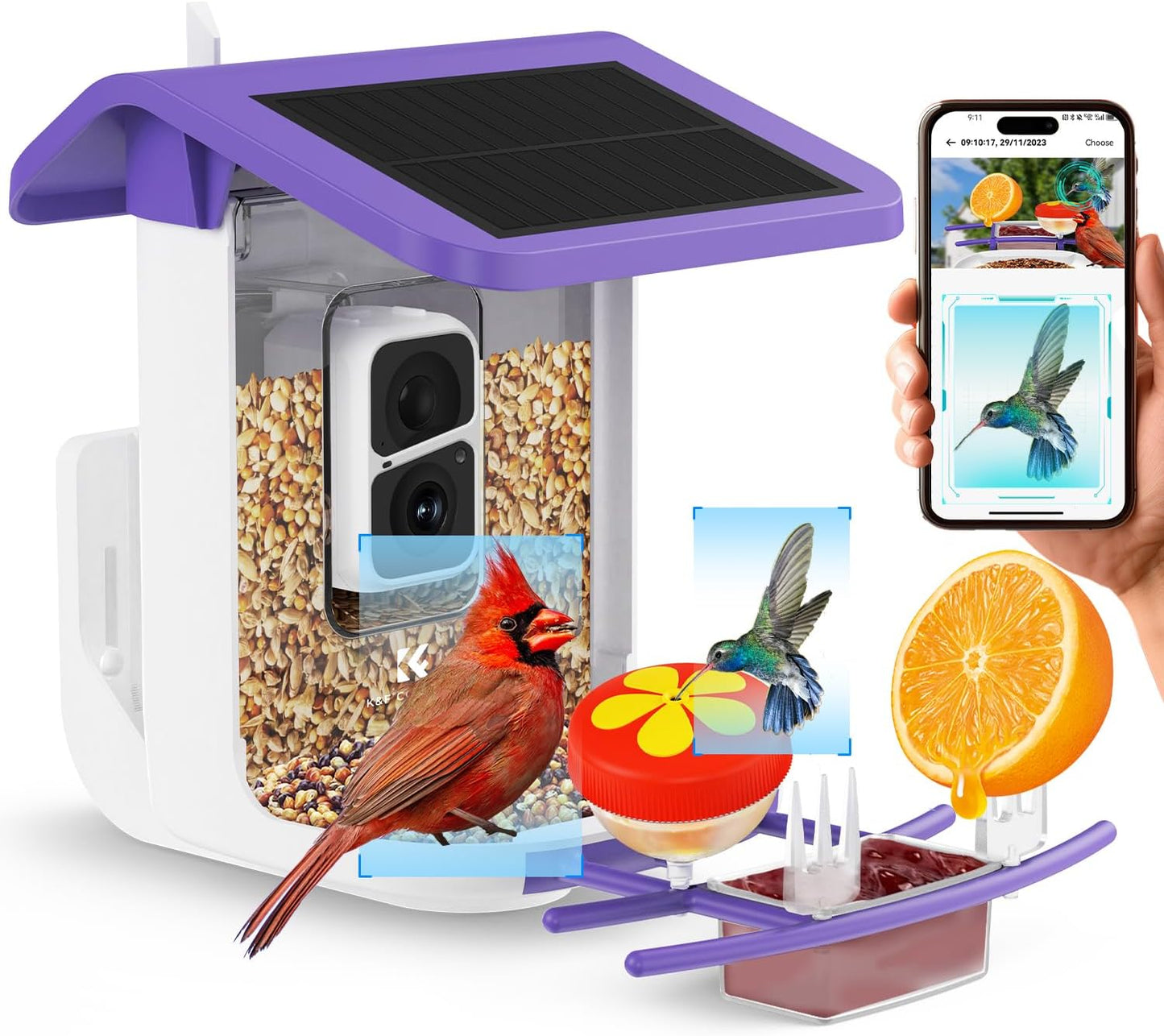 DIY Hummingbird Feeder with 1080P Camera