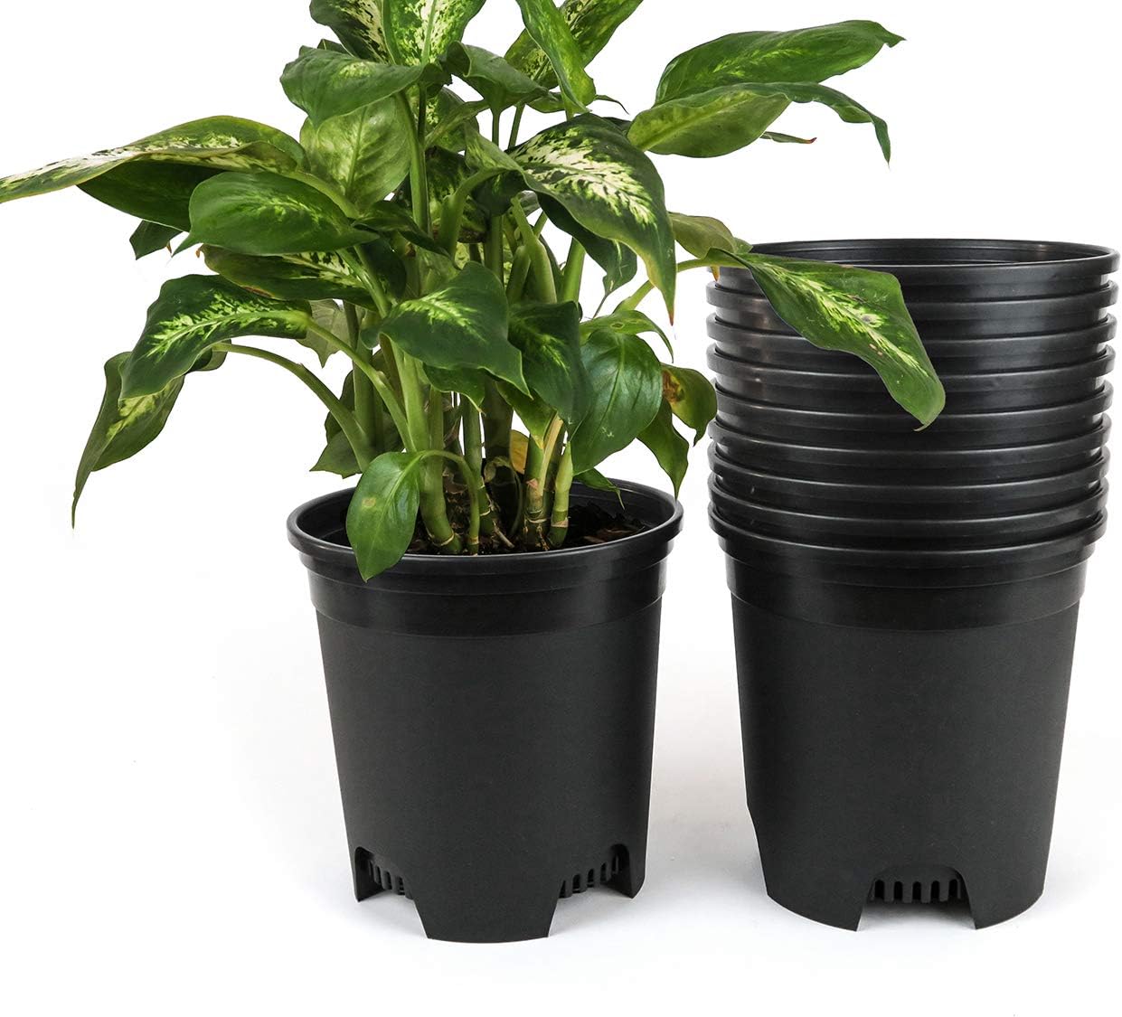Wholesale Nursery Pot 30-Pack 1.5 Gallon Plastic Planters
