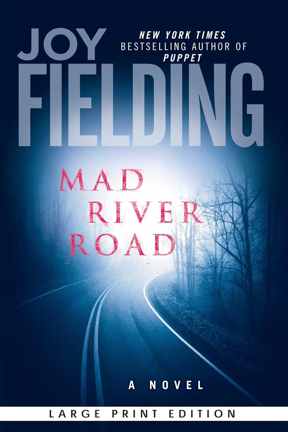 Mad River Road: A Novel by Joy Fielding - A Gripping Tale