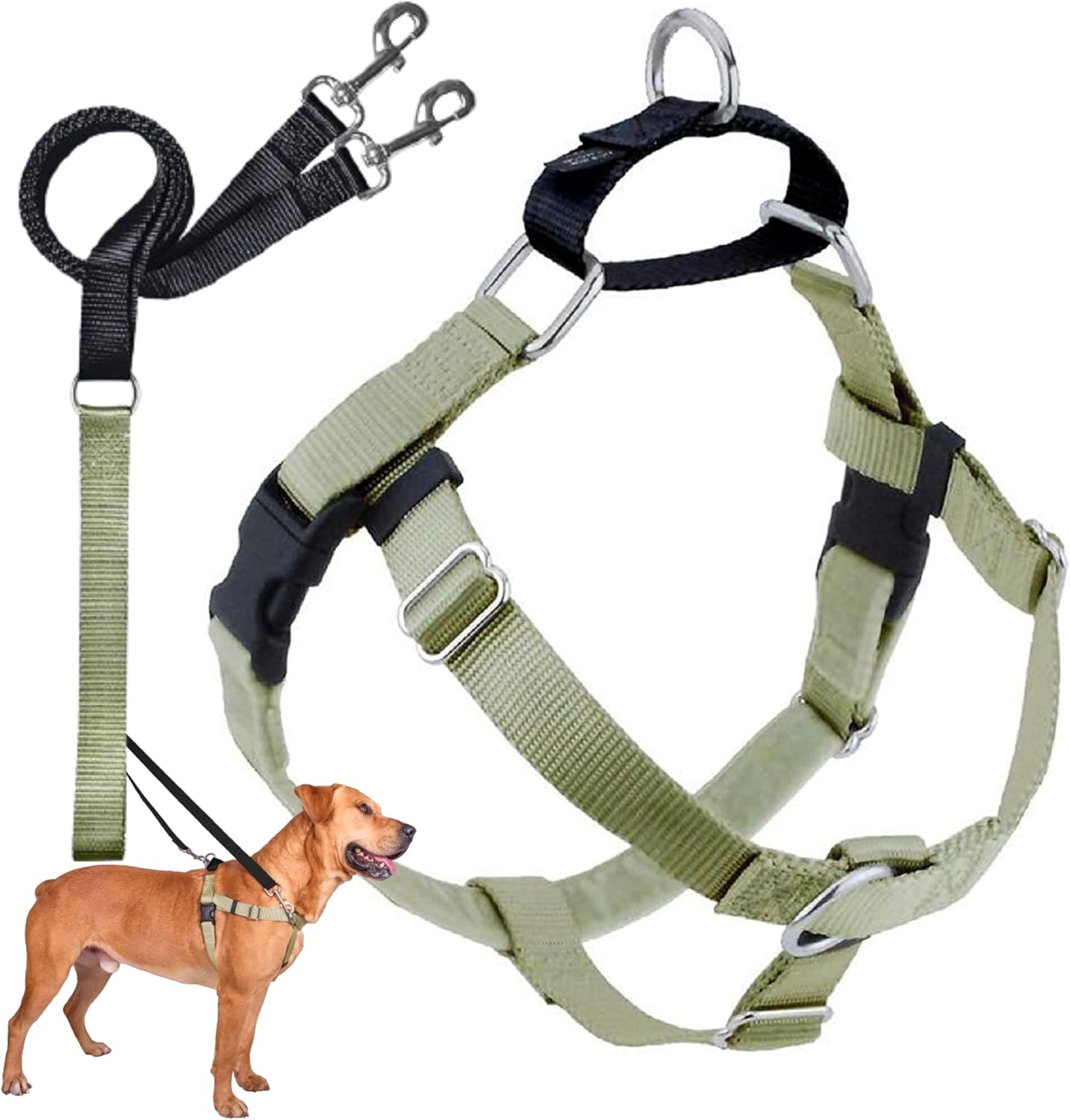 Freedom No Pull Dog Harness for Easy Walking & Control