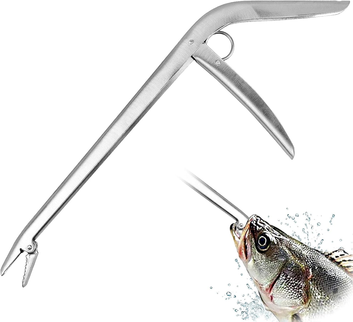 ReeMoo Stainless Steel Hook Remover - Strong Grip & Teeth - 11-1/2 Inches