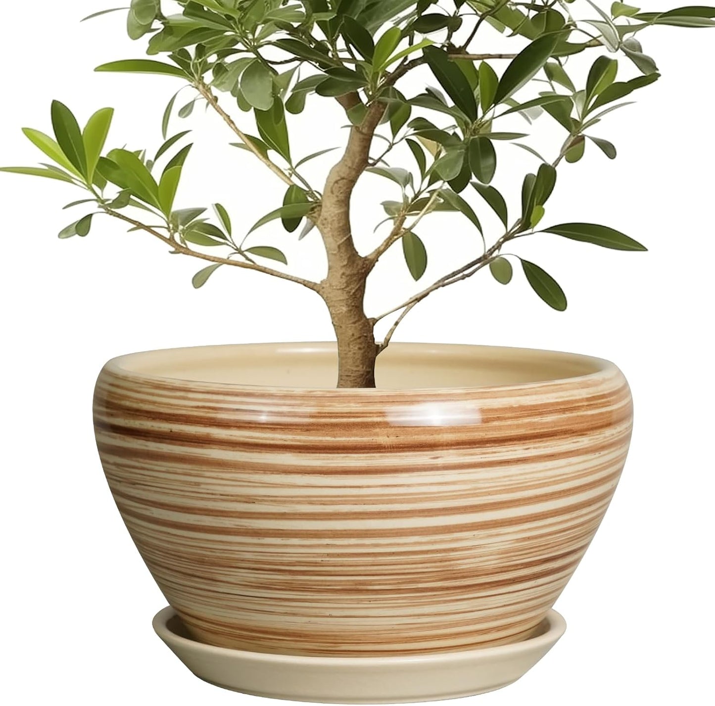 Ceramic Pot for Plants - 13 Inch Planter with Drainage Hole