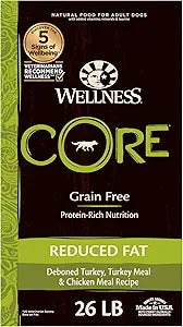 Wellness CORE Natural Grain Free Dry Dog Food for Healthy Pets