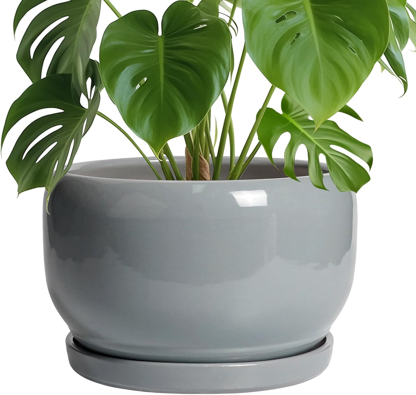 SQOWL 10 Inch Ceramic Plant Pot for Indoor and Outdoor Use