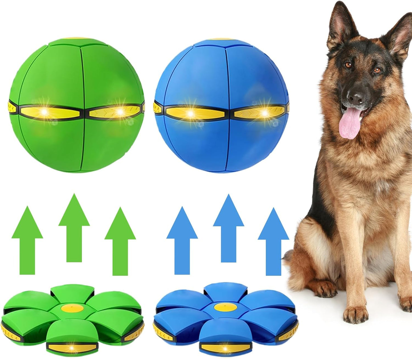 Light-Up Dog Flying Disc Toy Set by BADWALT