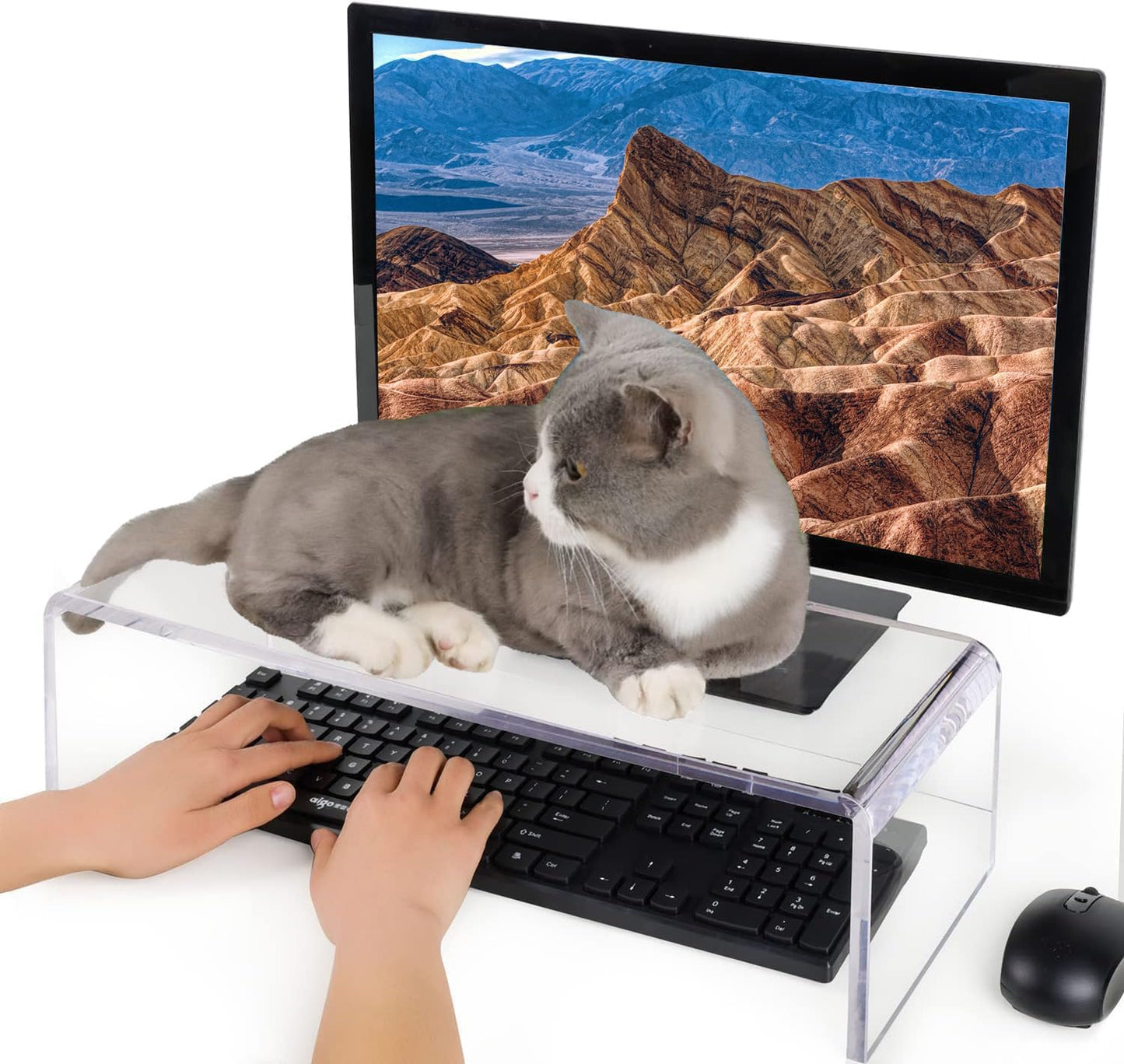 Anti-Cat Keyboard Cover and PC Desk Stand for Cat Owners