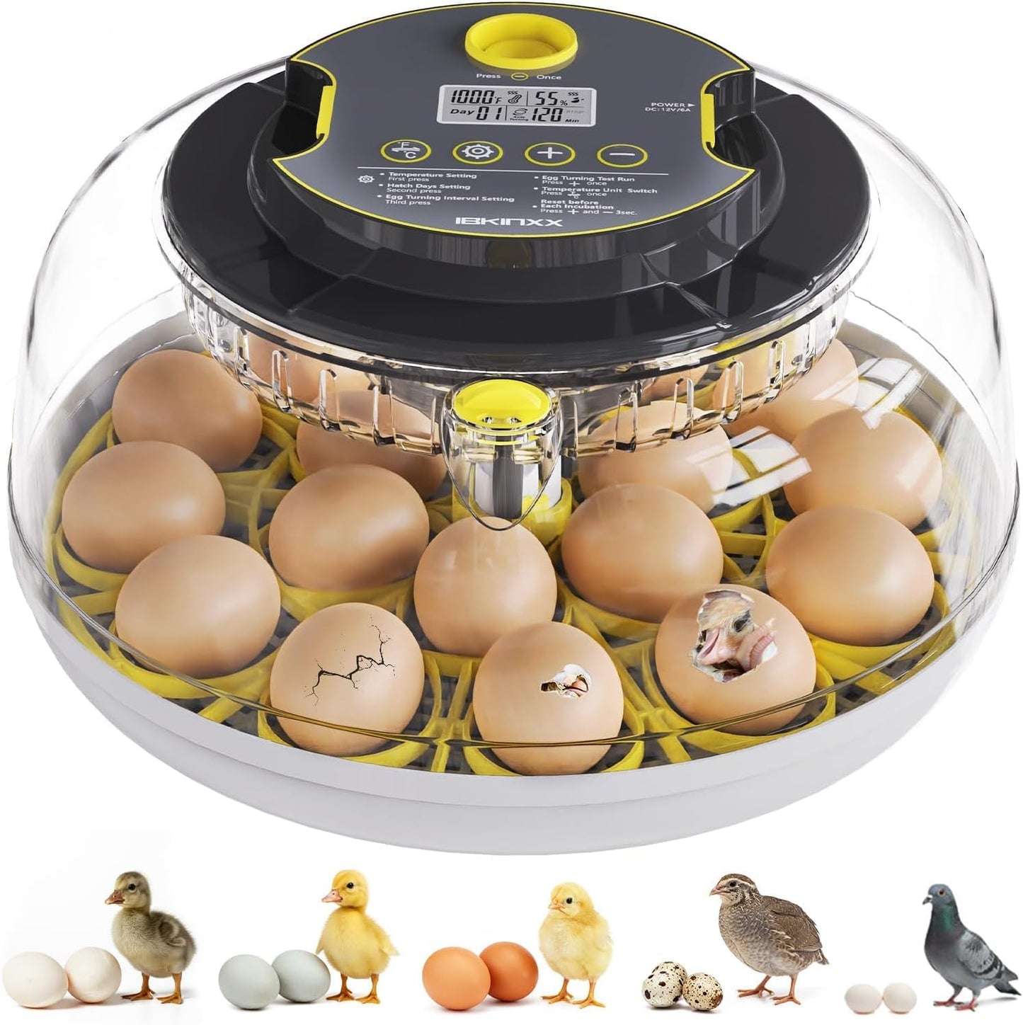 Incubator for Hatching Eggs with Automatic Turner & Control