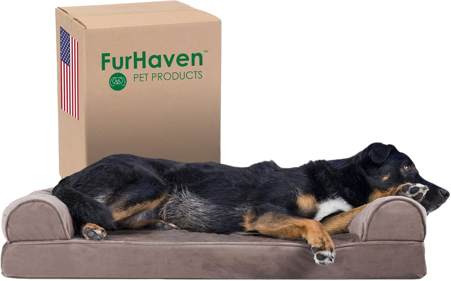Furhaven Memory Foam Dog Bed for Large Medium Dogs Up to 55 lbs