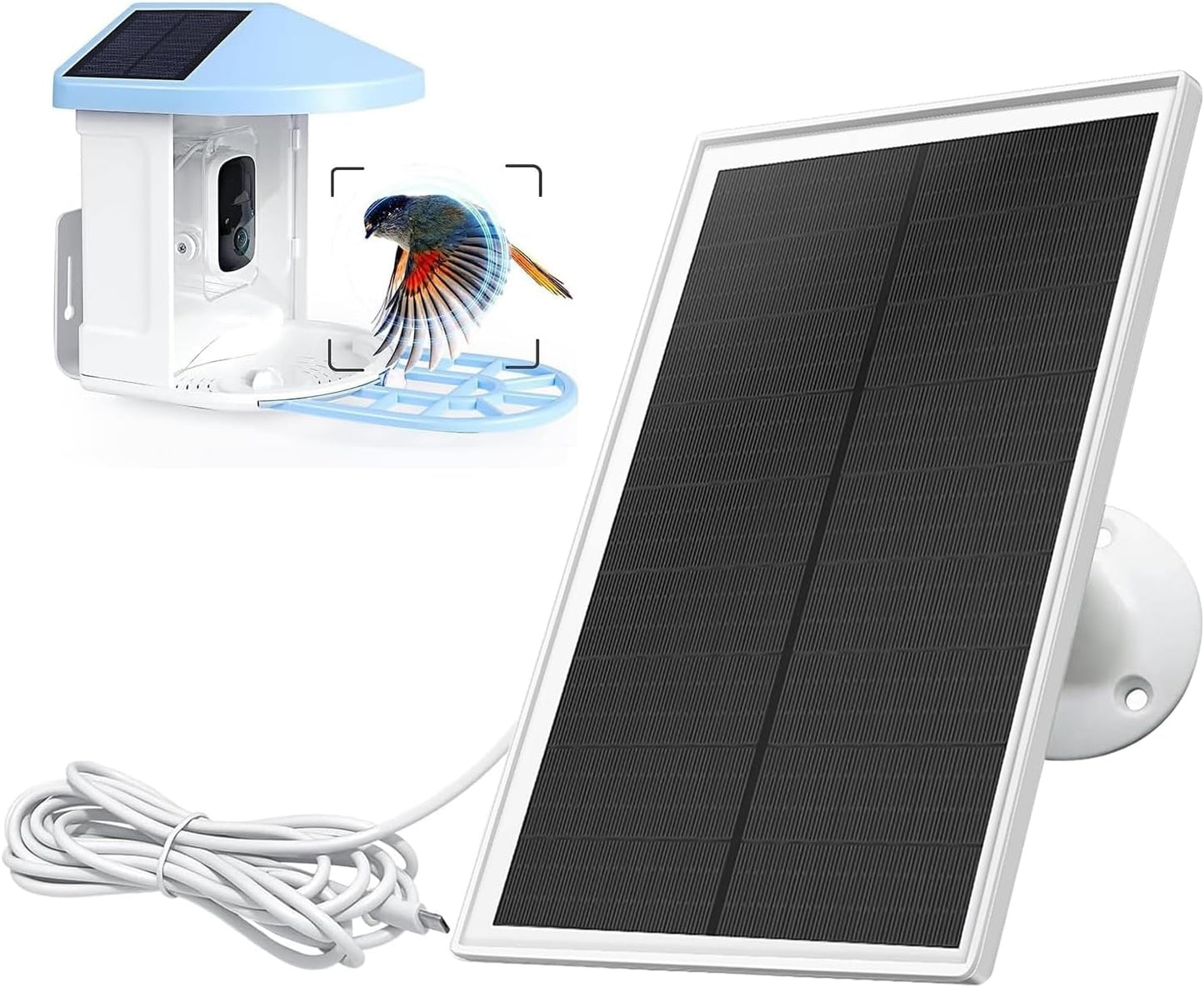 Power Up Your Bird Feeder Camera with Solar Charger!