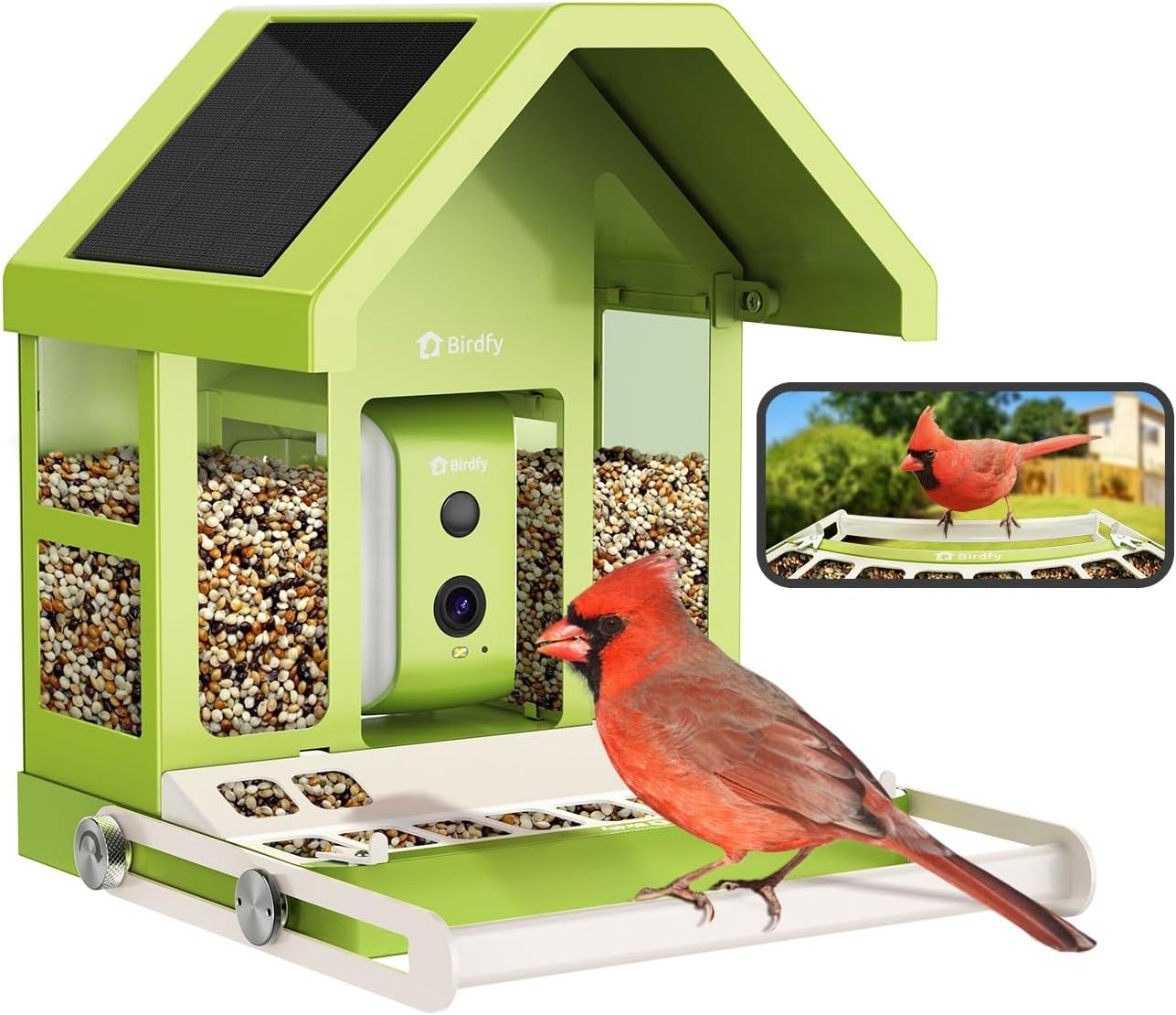Birdfy Smart Feeder: Capture Birds in HD!