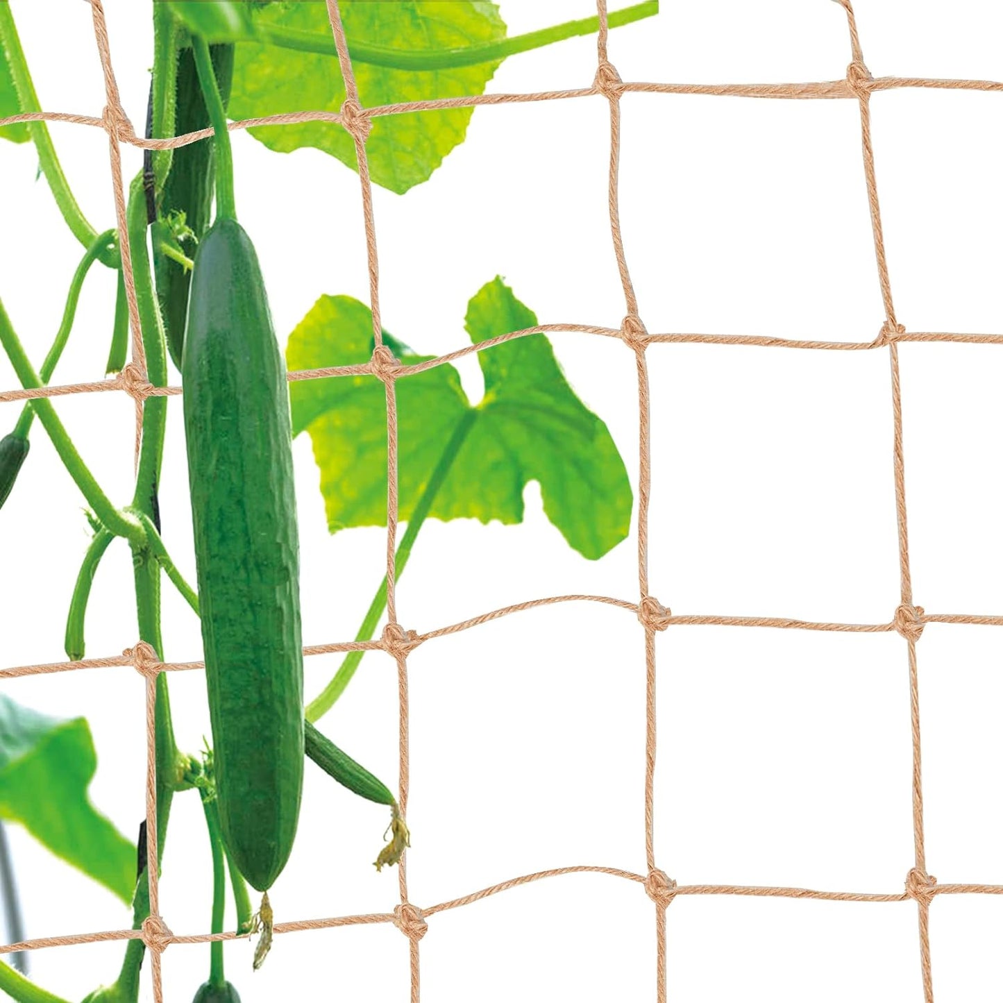 Plant Support Trellis Netting for Climbing Vining Plants