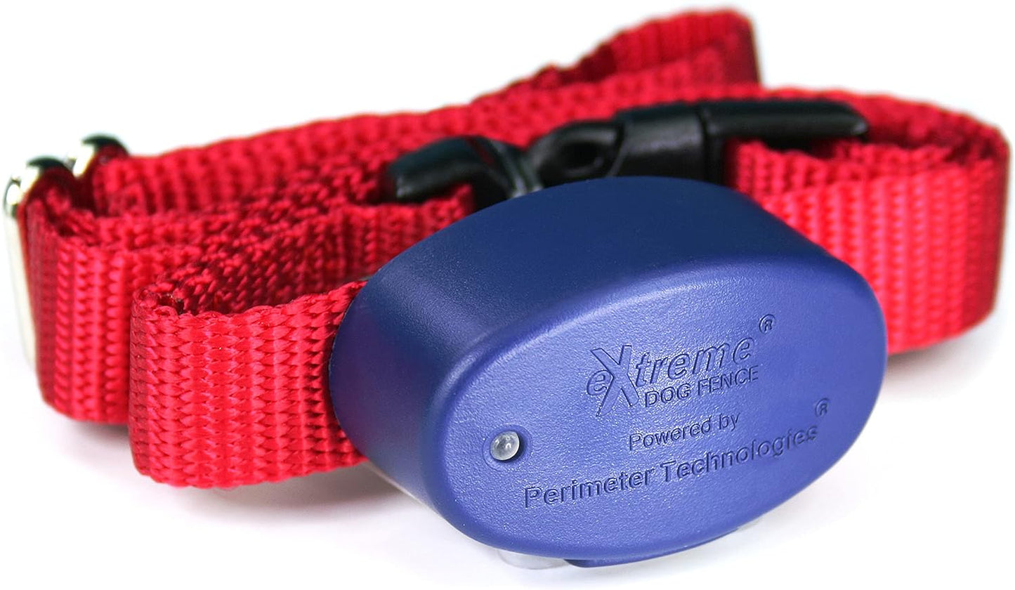Ultimate Comfort: EDF Active Dog Collar