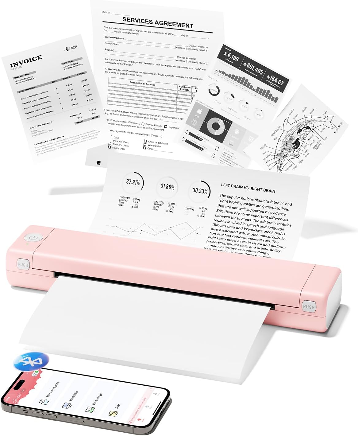 Phomemo M08F Pro Inkless Portable Printer - Print Anywhere!