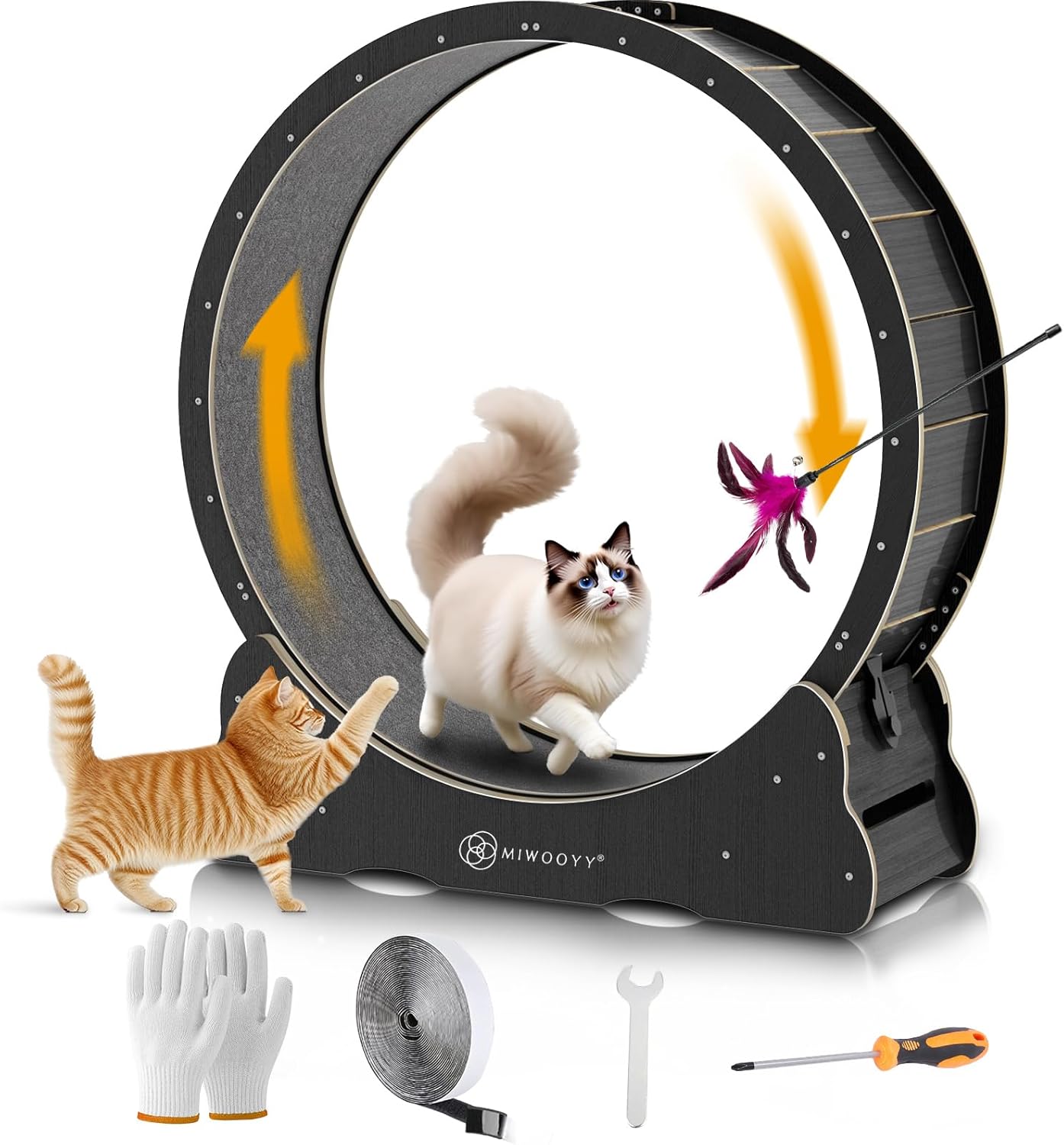Large Cat Exercise Wheel for Indoor Cats - Safe & Smooth Design