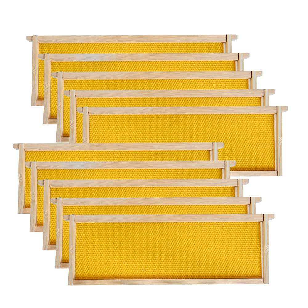 Medium Super Beehive Frames with Wax Foundations for Beekeeping
