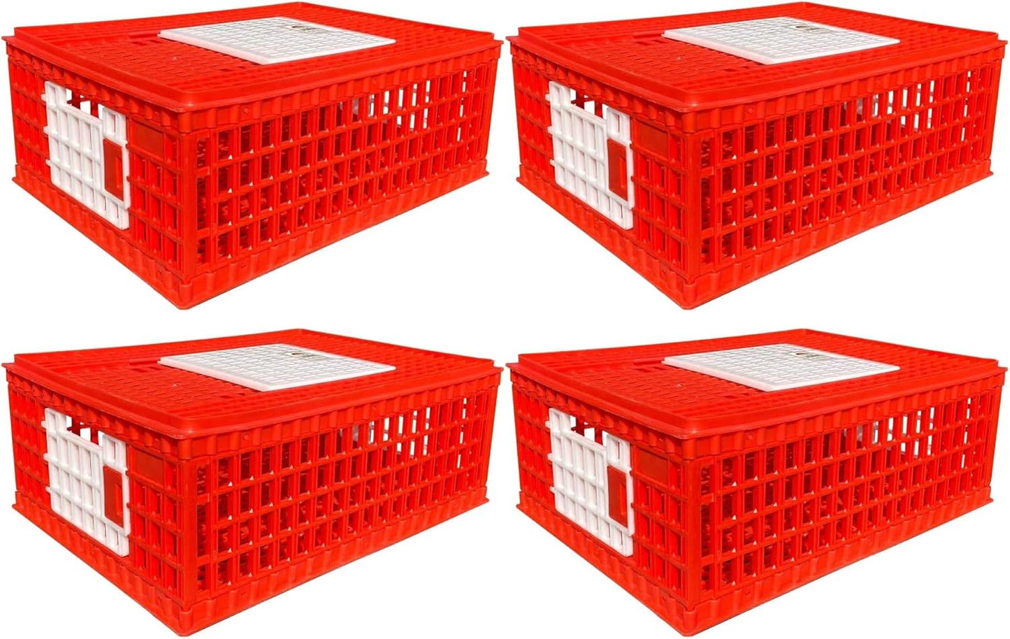RentACoop Stackable Poultry Carrier Crate for Chickens