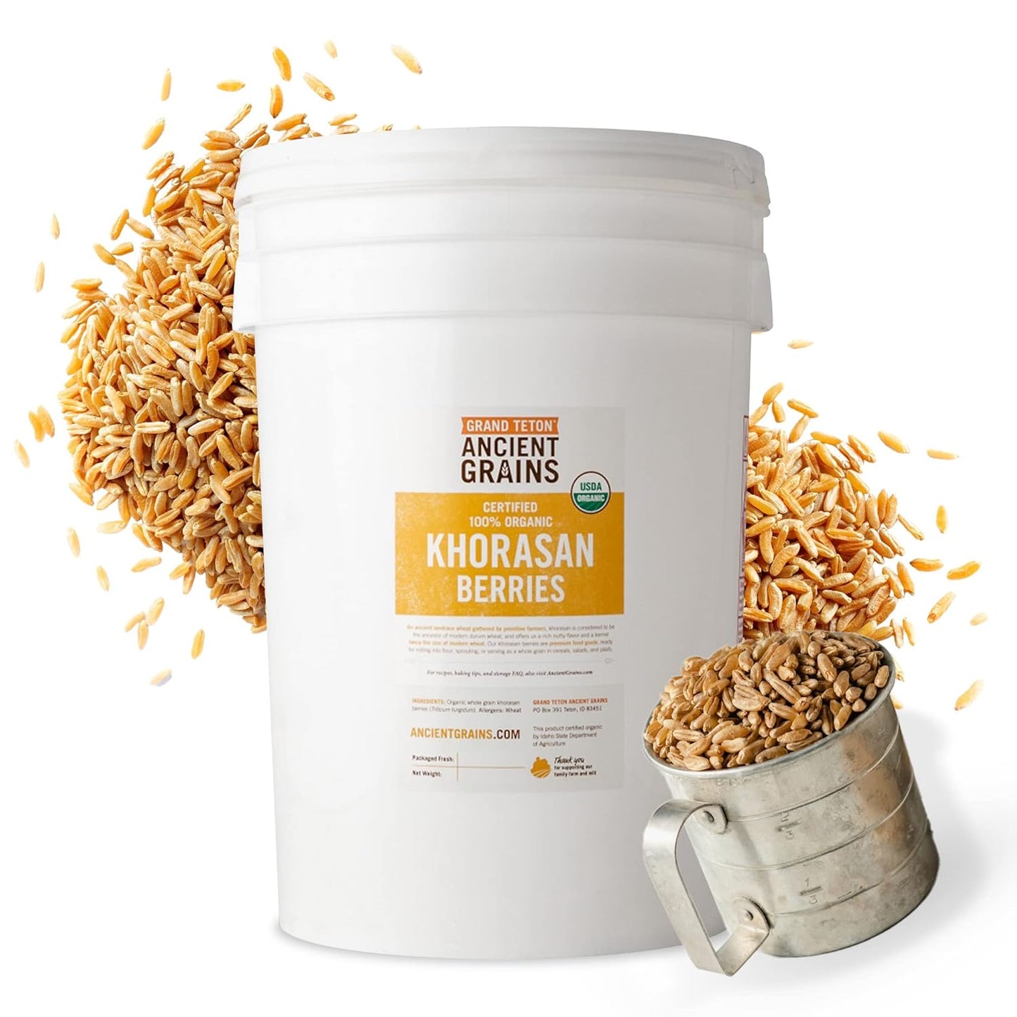 Organic Khorasan Wheat Berries for Baking, Sprouting & More