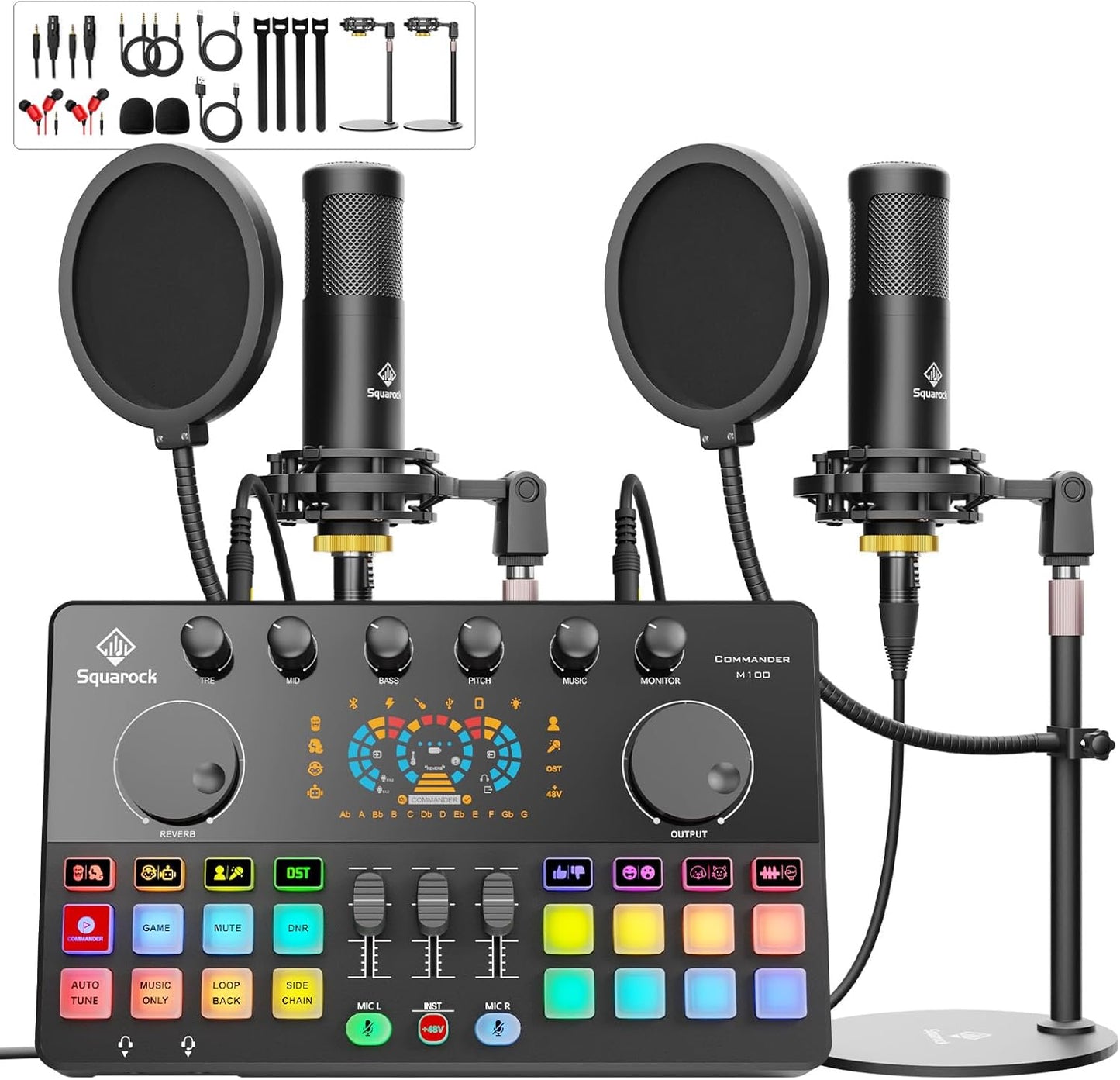 Podcast Equipment Bundle for 2 with Dual XLR Condenser Mics