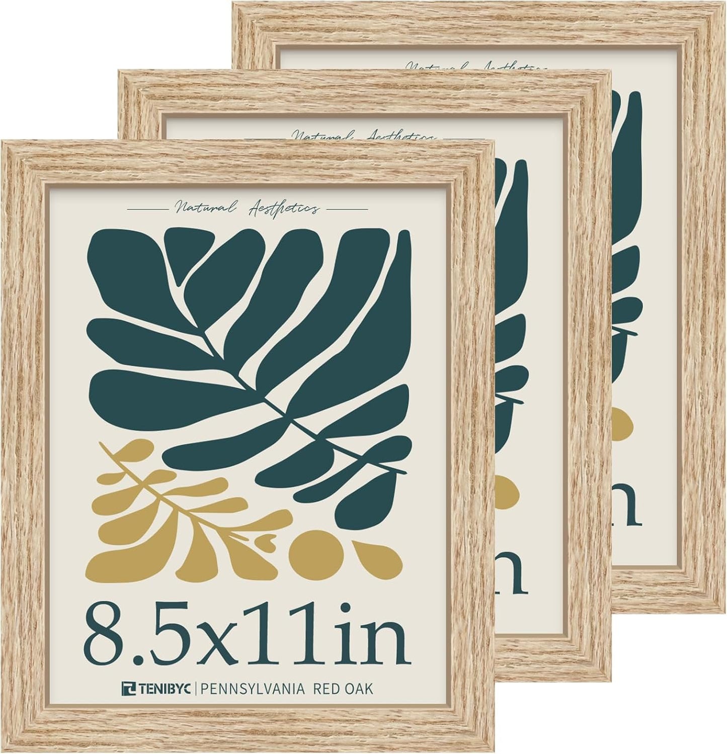 8.5x11 Oak Picture Frame 3 Pack with HD Glass for Display