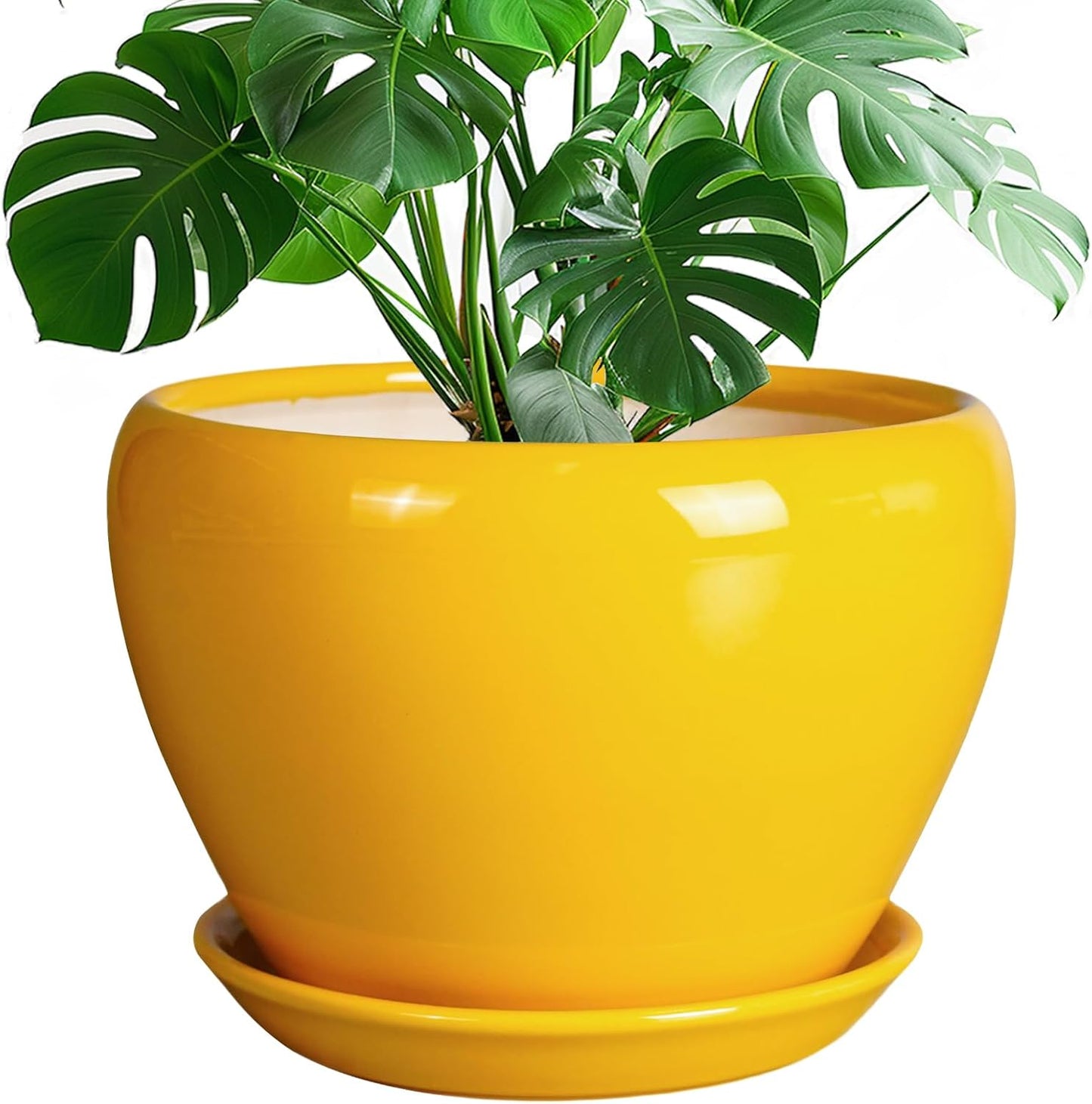 Ceramic Planter - 10 Inch Pot for Indoor Outdoor Plants