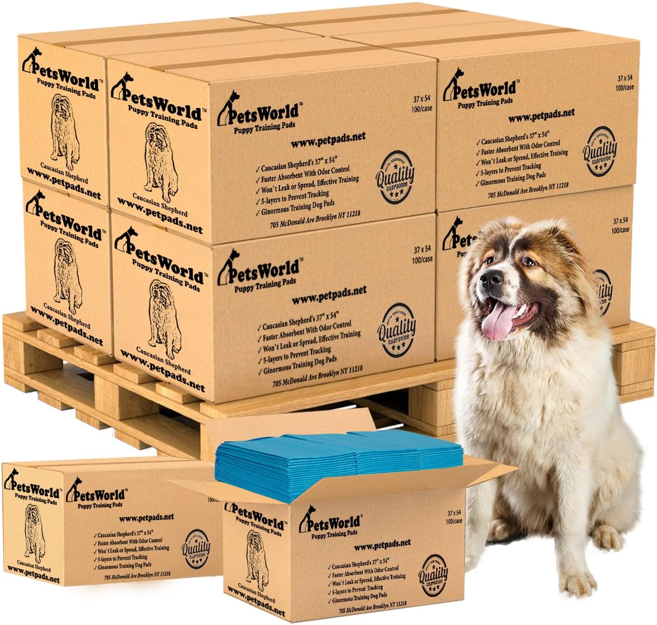 PETSWORLD Enormous Dog Training & Potty Pads for All Pets