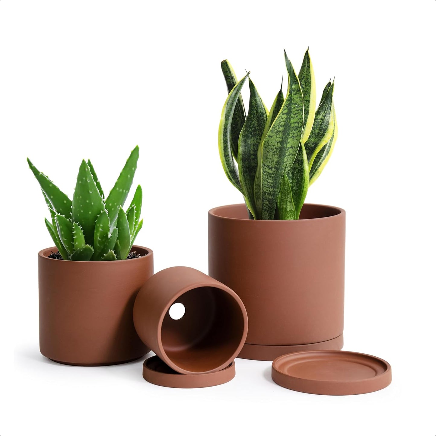 D'vine Dev Rust Terracotta Pots for Plants - Perfect for Succulents