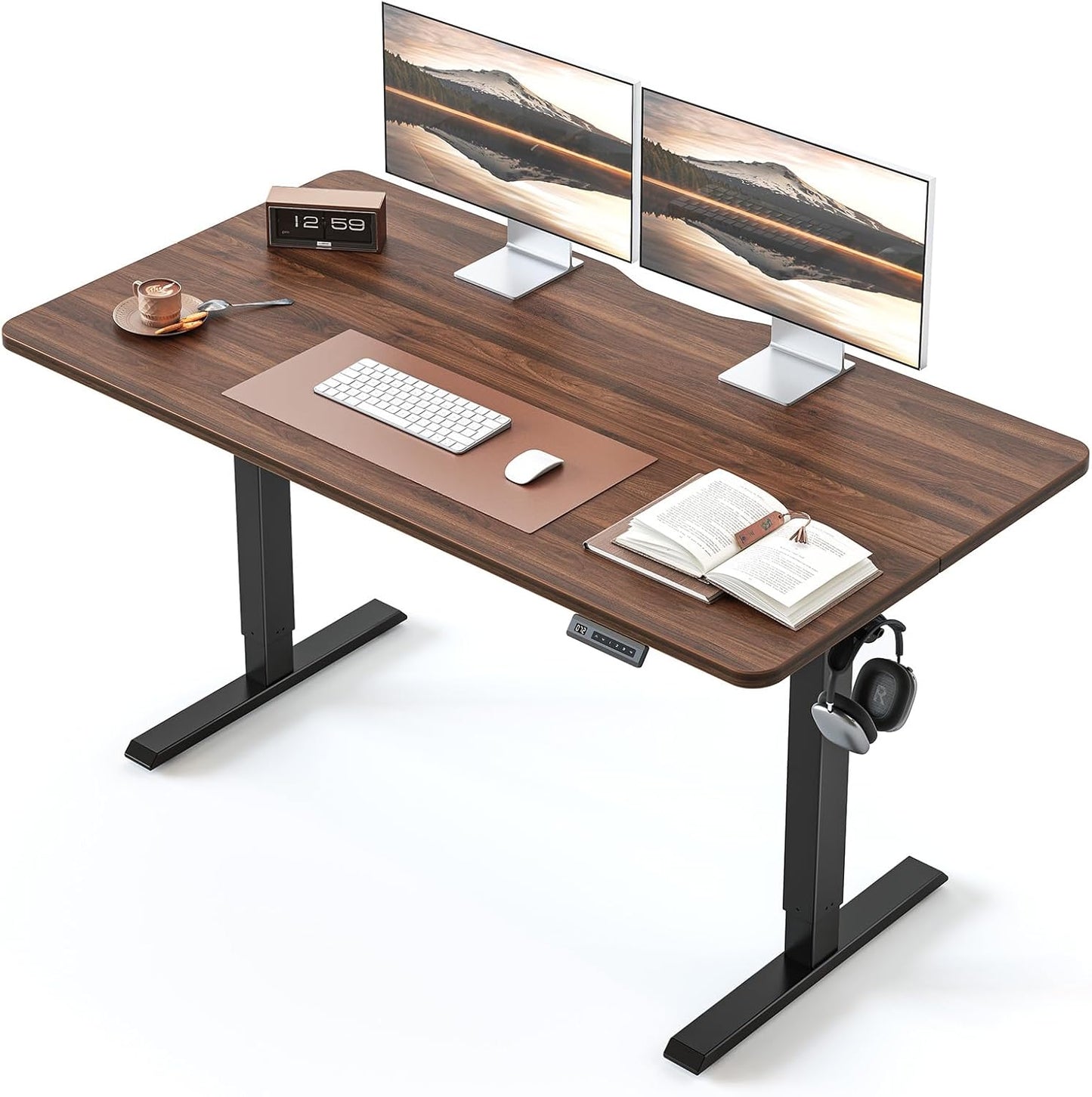 BANTI 55 24 Inches Electric Height Adjustable Standing Desk