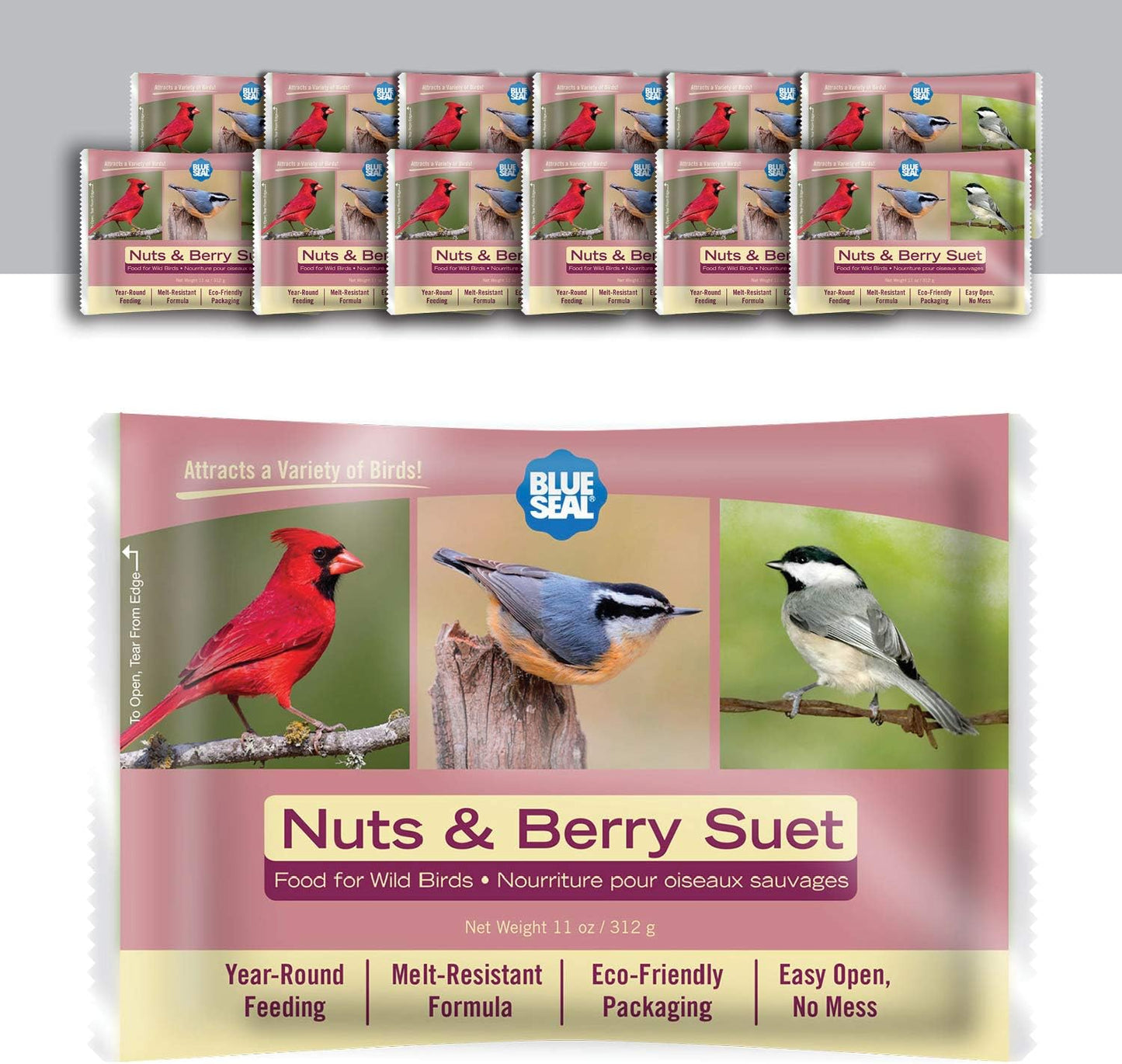 Blue Seal Nuts & Berry Suet Cakes for Wild Birds - 12 Pack