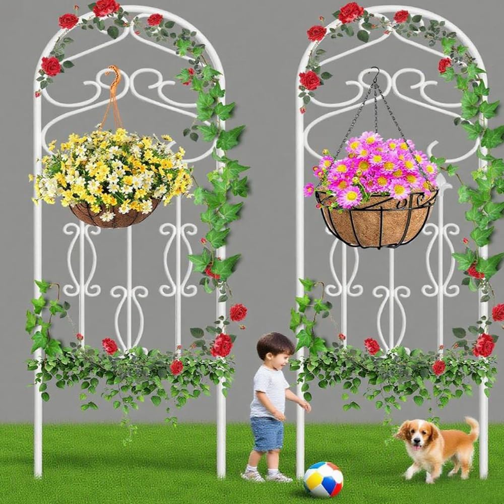 60 x 18 Garden Trellis for Climbing Plants - Durable & Elegant