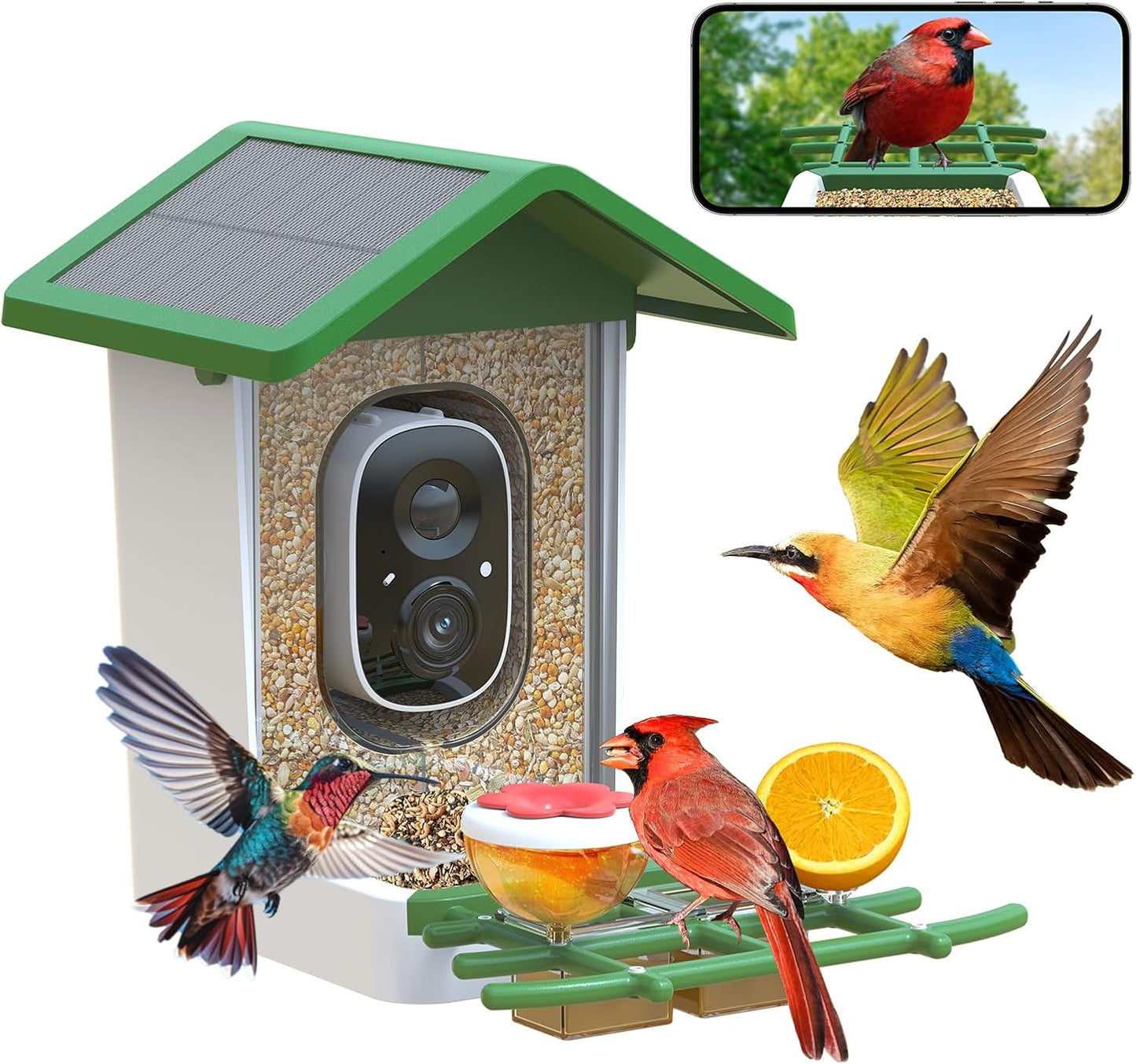 Smart Bird Feeder with Camera for Outdoor Bird Watching Fun