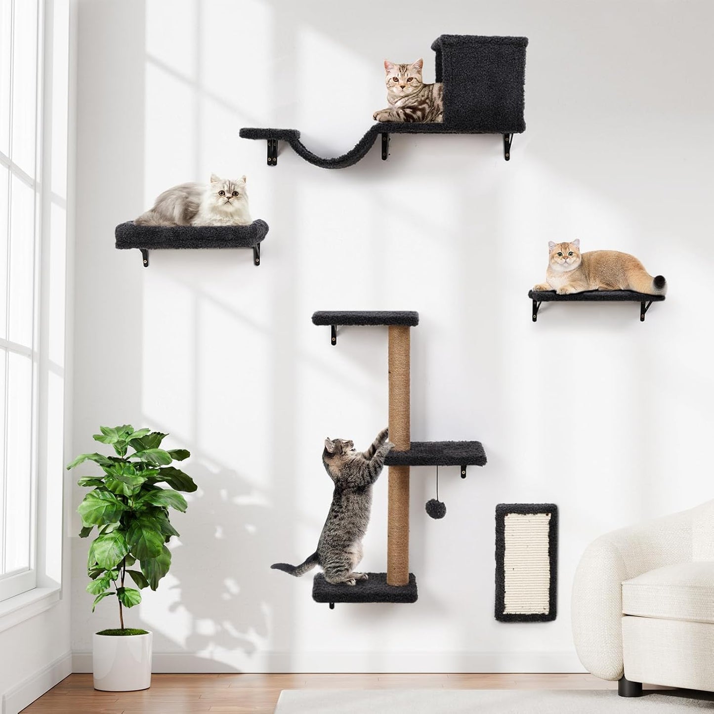 5-in-1 Cat Wall Shelves for Indoor Cats - Space-Saving Fun