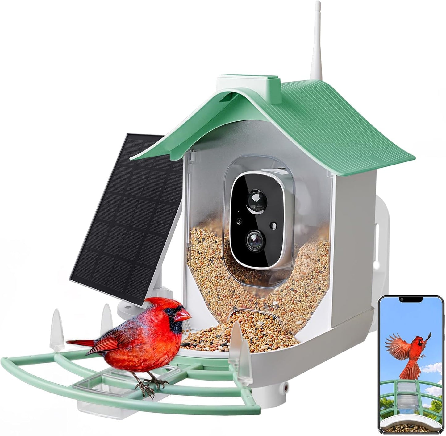 AI Bird Feeder Camera: 2K HD Video, Instant Alerts