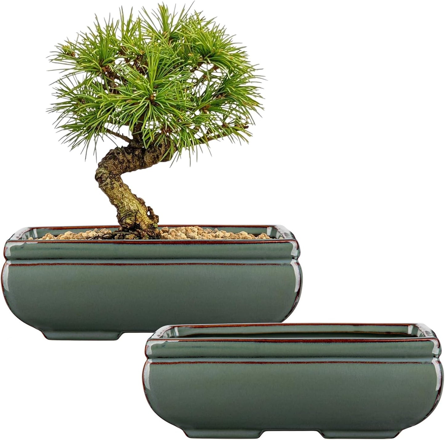 Ceramic Bonsai Pots Set of 2 with Drainage for Indoor Outdoor Use
