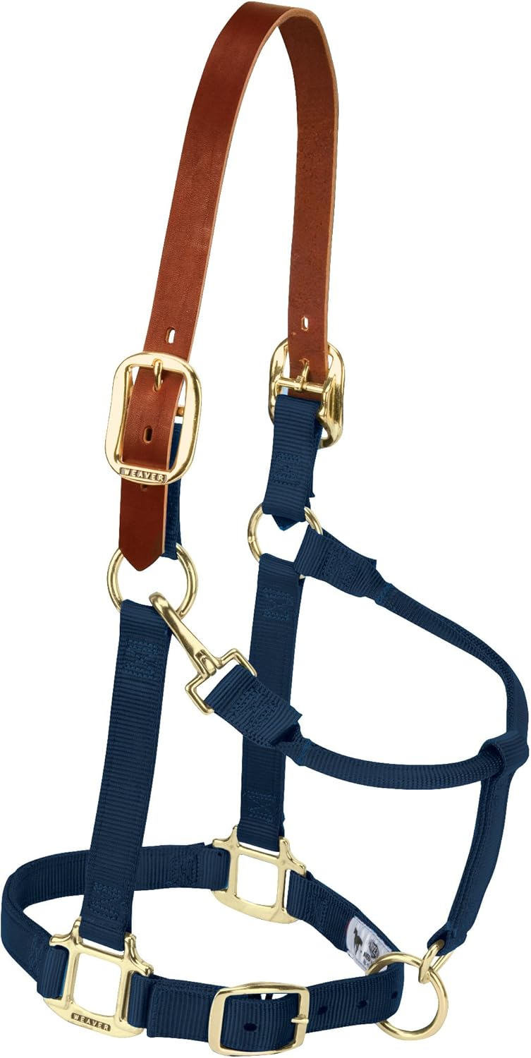 Breakaway Horse Halter with Supple Leather Crown for Horses