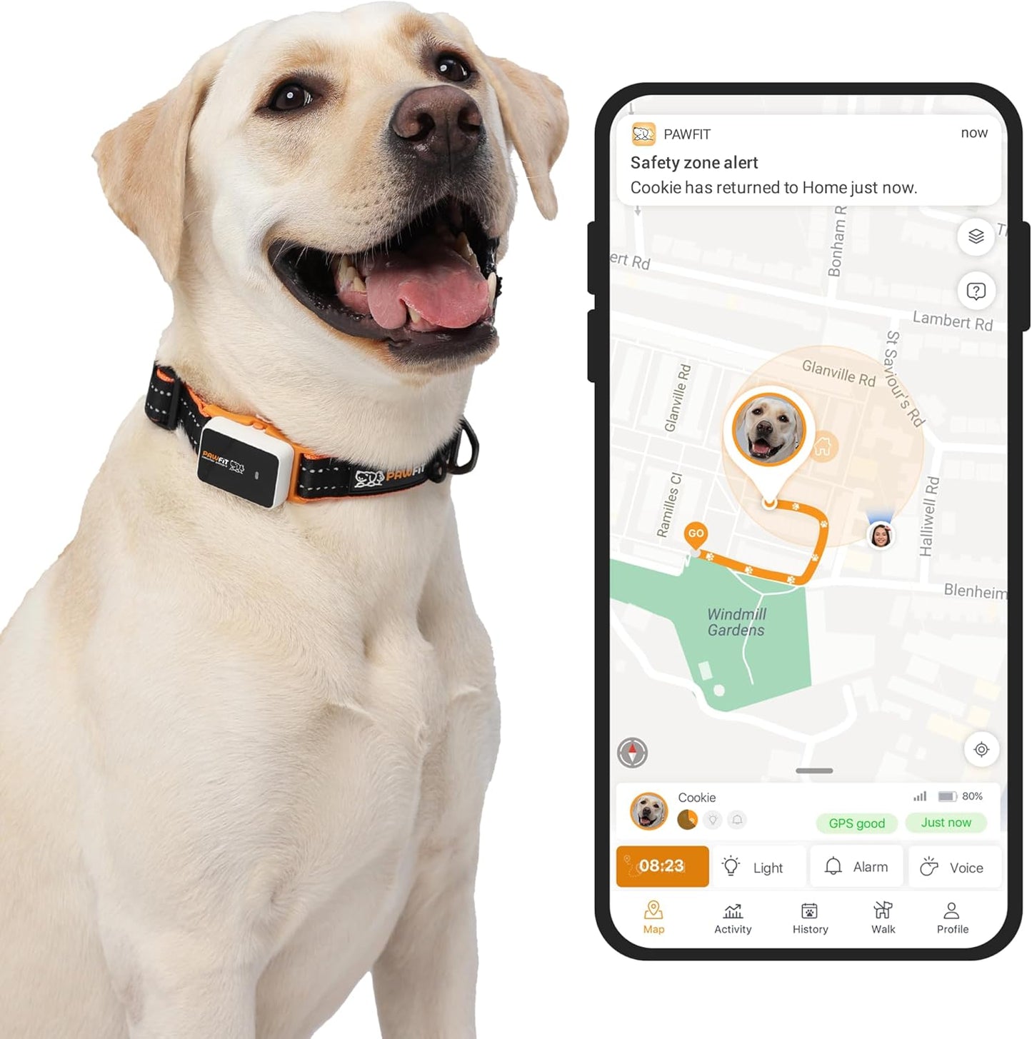 3 GPS Pet Tracker with 4G Live Tracking and Smart Alerts